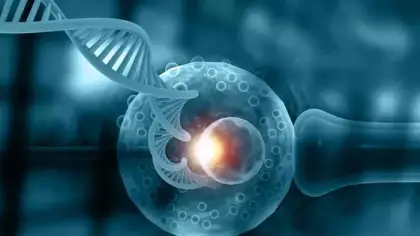 علاج انعدام الحيوانات المنوية بالذكاء الاصطناعي