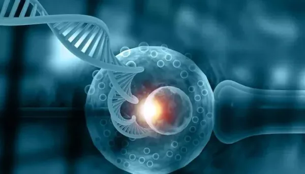 علاج انعدام الحيوانات المنوية بالذكاء الاصطناعي