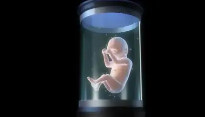 تطوير رحم اصطناعي لدراسة مراحل الحمل البشري المبكرة