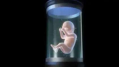 تطوير رحم اصطناعي لدراسة مراحل الحمل البشري المبكرة