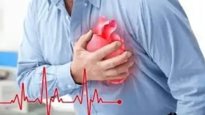 العصب الحائر وتأثيره على شيخوخة القلب