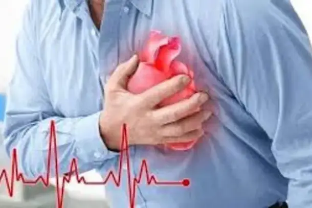 أهمية العصب الحائر في الحفاظ على صحة القلب ووقايته من التدهور المرتبط بالتقدم في العمر.