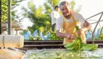 ماء الموز: حقيقته وفوائده المحتملة