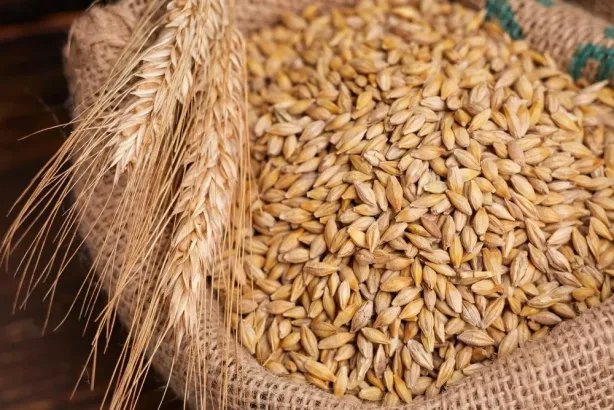 أطعمة غنية بفيتامين ب12 لتعويض النقص