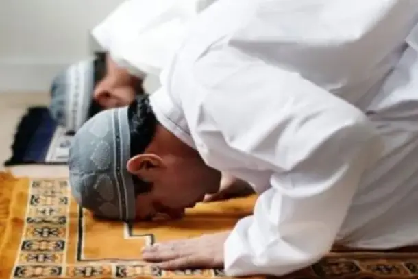 صورة توضيحية للمقال