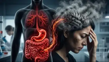 دور الأمعاء في تدهور الذاكرة مع التقدم بالعمر