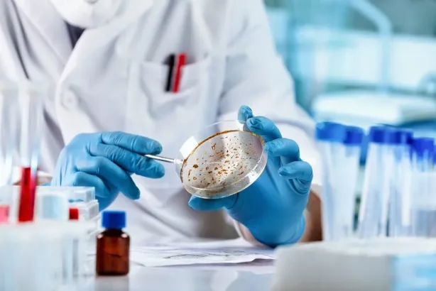 المحليات الصناعية: مخاطرها على الأمعاء واحتمال ارتباطها بالسرطان