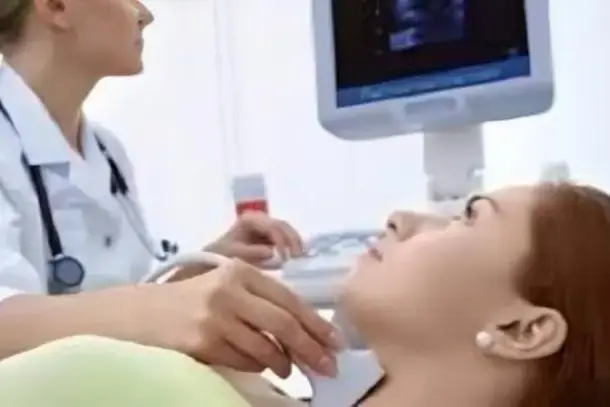 الغدة الزعترية ودورها المحوري في تعزيز المناعة وحماية الجسم من الأمراض المزمنة.