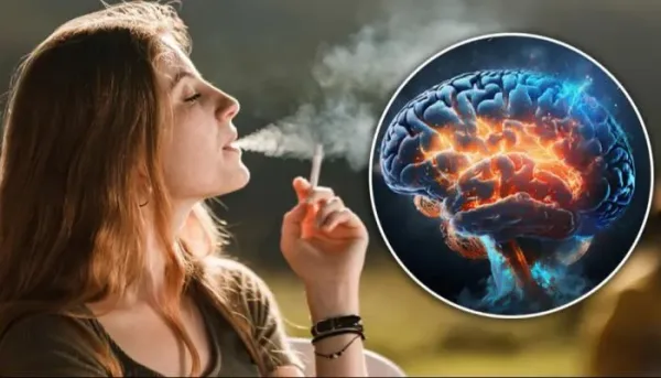 النيكوتين وتأثيره على الدماغ عبر الرئة