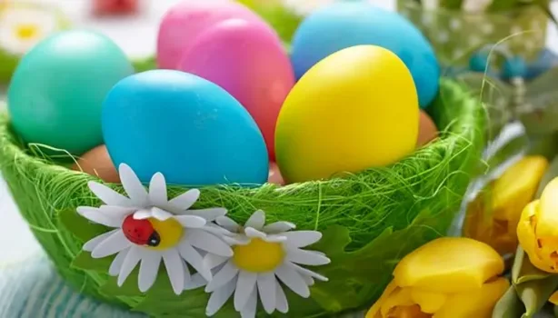 مخاطر تلوين البيض الصناعي وبدائله الطبيعية