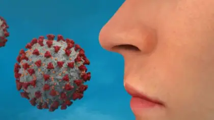 اكتشاف خلايا مناعية في الأنف لمكافحة الإنفلونزا