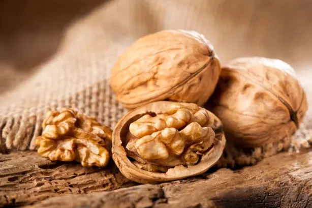 فوائد الجوز لصحة القلب والدماغ