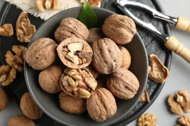 اكتشف كيف يعزز الجوز صحة قلبك ودماغك بفضل أحماض أوميغا-3 ومضادات الأكسدة، ويساعد في خفض الكوليسترول والتحكم بالشهية للحفاظ…