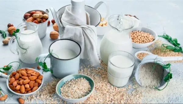 بدائل الحليب النباتي وتأثيرها على صحة الأطفال الصغار