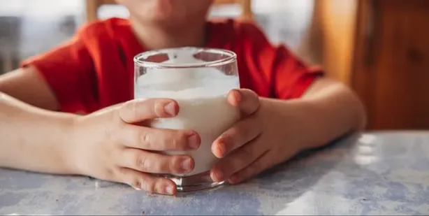بدائل الحليب النباتي وتأثيرها على صحة الأطفال الصغار