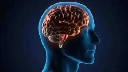 تأثير البيئة والفقر والسياسة على شيخوخة الدماغ