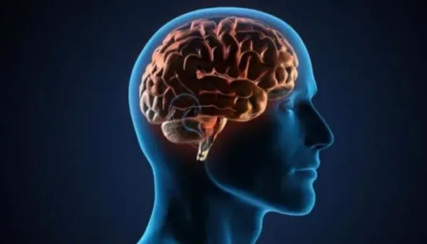 تأثير البيئة والفقر والسياسة على شيخوخة الدماغ