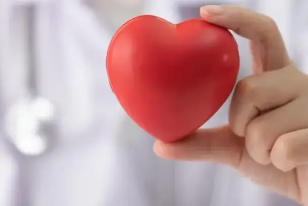 دراسة حديثة تكشف عن مخاطر أمراض القلب الكامنة التي تواجهها النساء بسبب طبيعة شرايينهن.", "primary_topic": "قلب وأوعية…