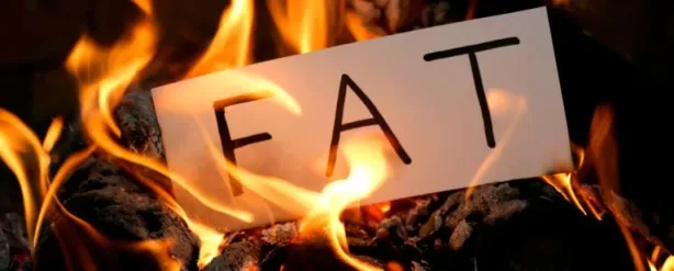 اكتشاف مفتاح جزيئي لحرق الدهون وتقوية العظام