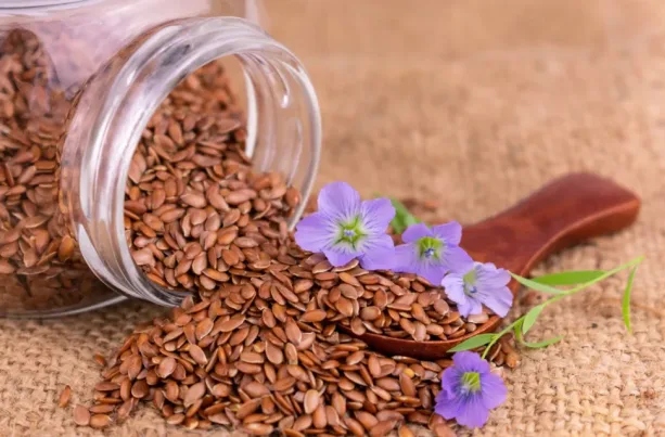 بذور غذائية مفيدة لمواجهة حرارة الصيف