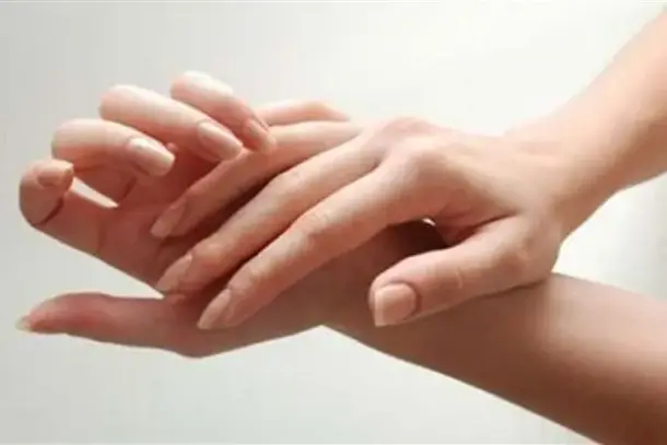 صورة توضيحية للمقال