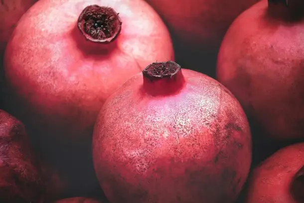 صورة توضيحية للمقال
