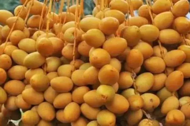 صورة توضيحية للمقال