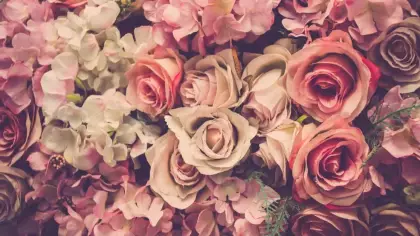رؤية الورد في المنام للمطلقة
