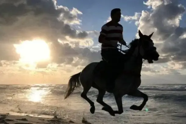 صورة توضيحية للمقال