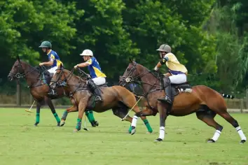 تفسير حلم ركوب الخيل في المنام.. دلالات الحصان الأسود والأبيض والجري