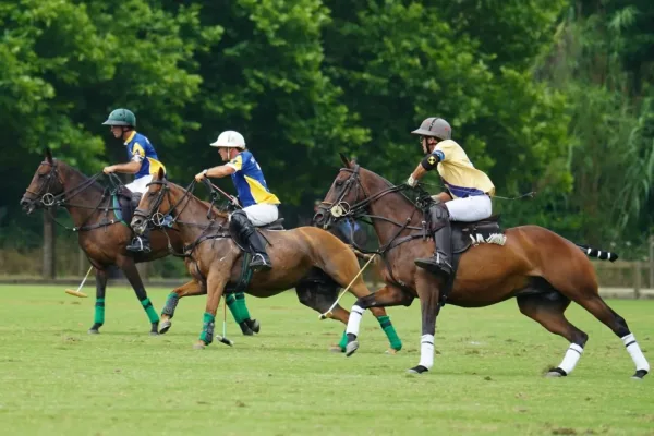 تفسير حلم ركوب الخيل في المنام.. دلالات الحصان الأسود والأبيض والجري