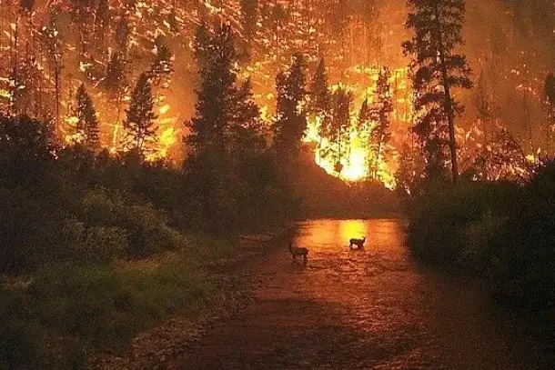 صورة توضيحية للمقال