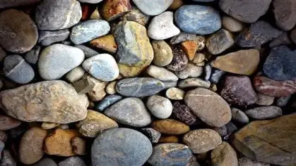 تفسير حلم الزلط في المنام