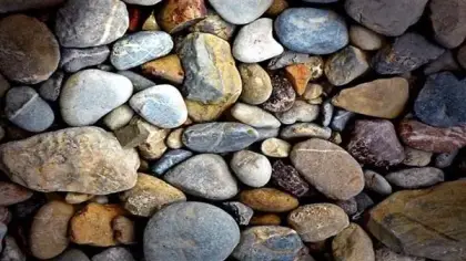 تفسير حلم الزلط في المنام
