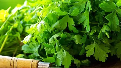 تفسير رؤية البقدونس في المنام ودلالاته المختلفة
