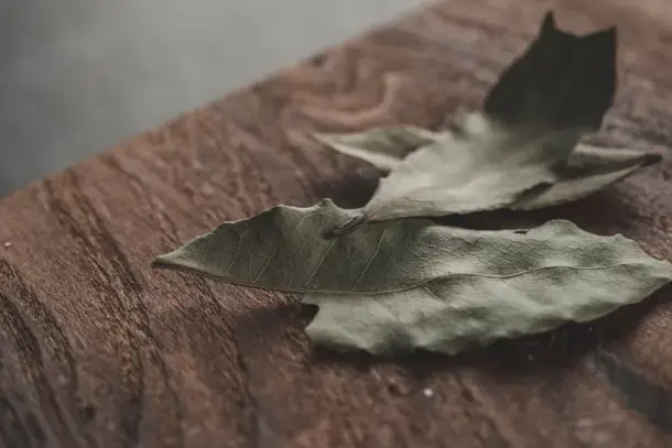 صورة توضيحية للمقال