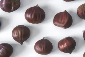 تفسير رؤية الكستناء وأكلها في المنام