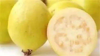 رؤية الجوافة في المنام للحامل وتفسيرها