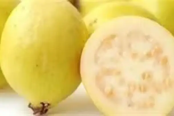 صورة توضيحية للمقال