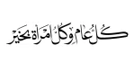 معلومات شاملة حول اليوم العالمي للمرأة