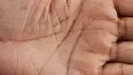ماذا تعني الخطوط والعلامات الموجودة على كف اليد