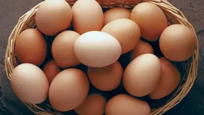 تفسير حلم البيض في المنام