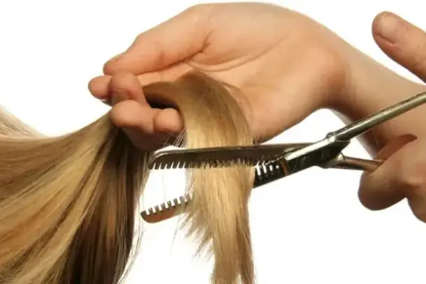 استكشف دلالات قص الشعر في المنام للمتزوجة والعزباء والرجل، وتعرف على رسائل التغيير النفسي وتأثيراته على حياة الرائي. يوضح…