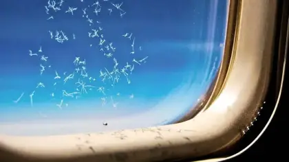 لماذا يوجد ثقب صغير في نافذة الطائرة؟
