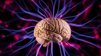 كيف يتطور فهم اللغة في دماغ الطفل ومتى يترسخ؟