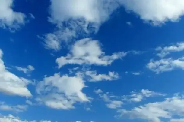 صورة توضيحية للمقال