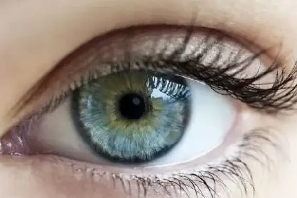 صورة توضيحية للمقال