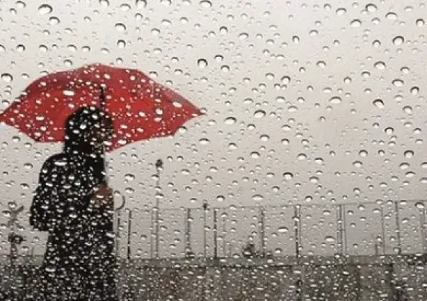 ماذا يعني المطر الغزير في منام الفتاة العزباء؟
