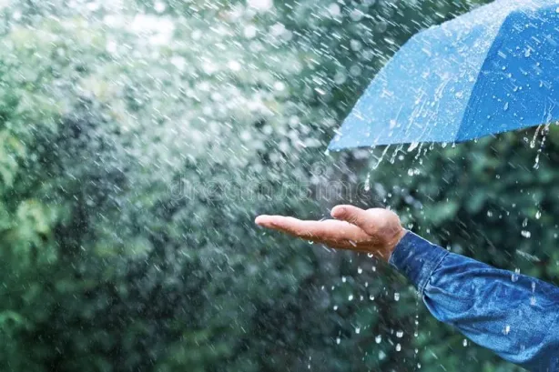 ماذا يعني المطر الغزير في منام الفتاة العزباء؟