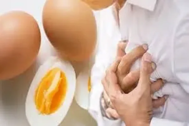 ماذا يحدث للكوليسترول عند تناول البيض يومياً؟